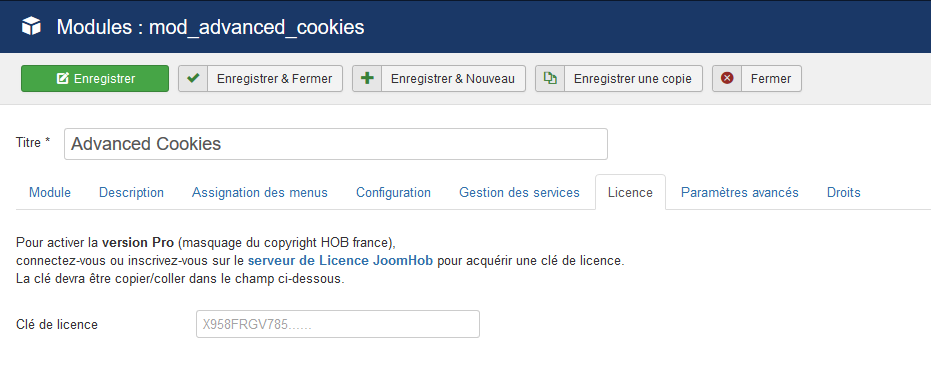 Activation de la licence Advanced Cookies Premium pour supprimer le copyright du bandeau de cookies de votre site internet.